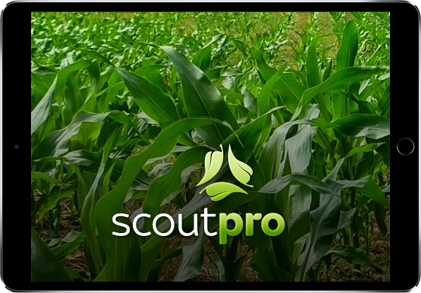 scoutpro